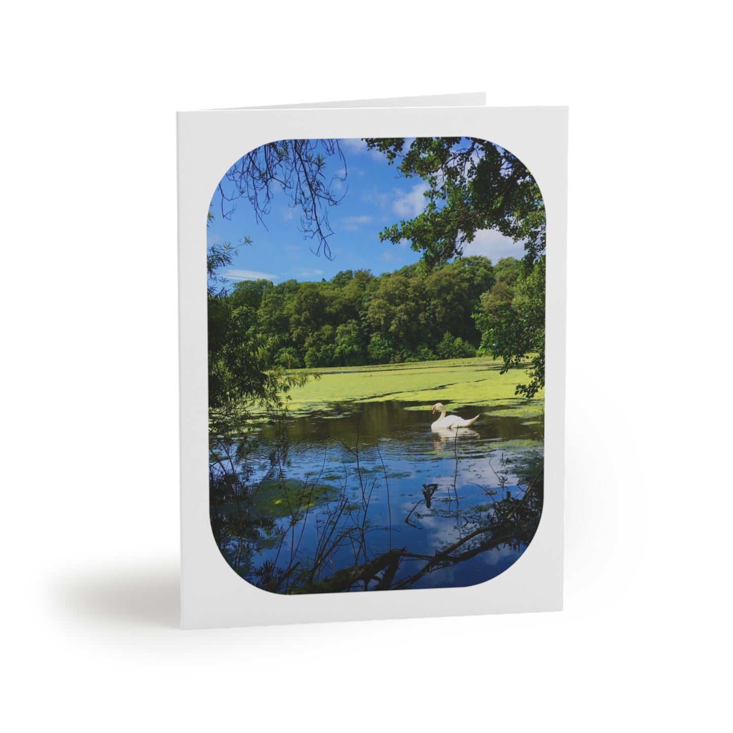 Take A Bow Card Sets - Blank