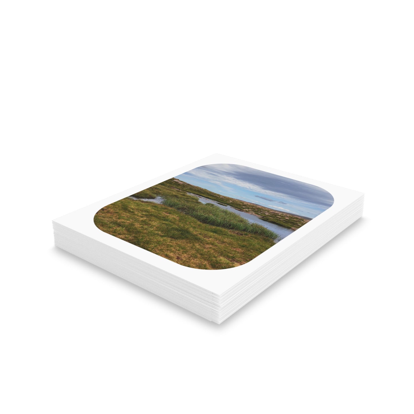 Still Oasis Card Sets - Blank