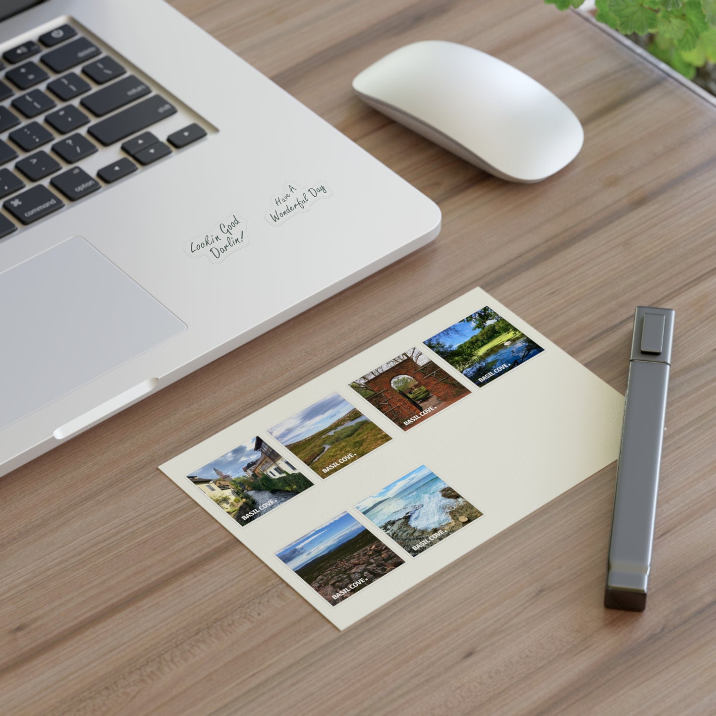 Photographs + Notes Sticker Sheet