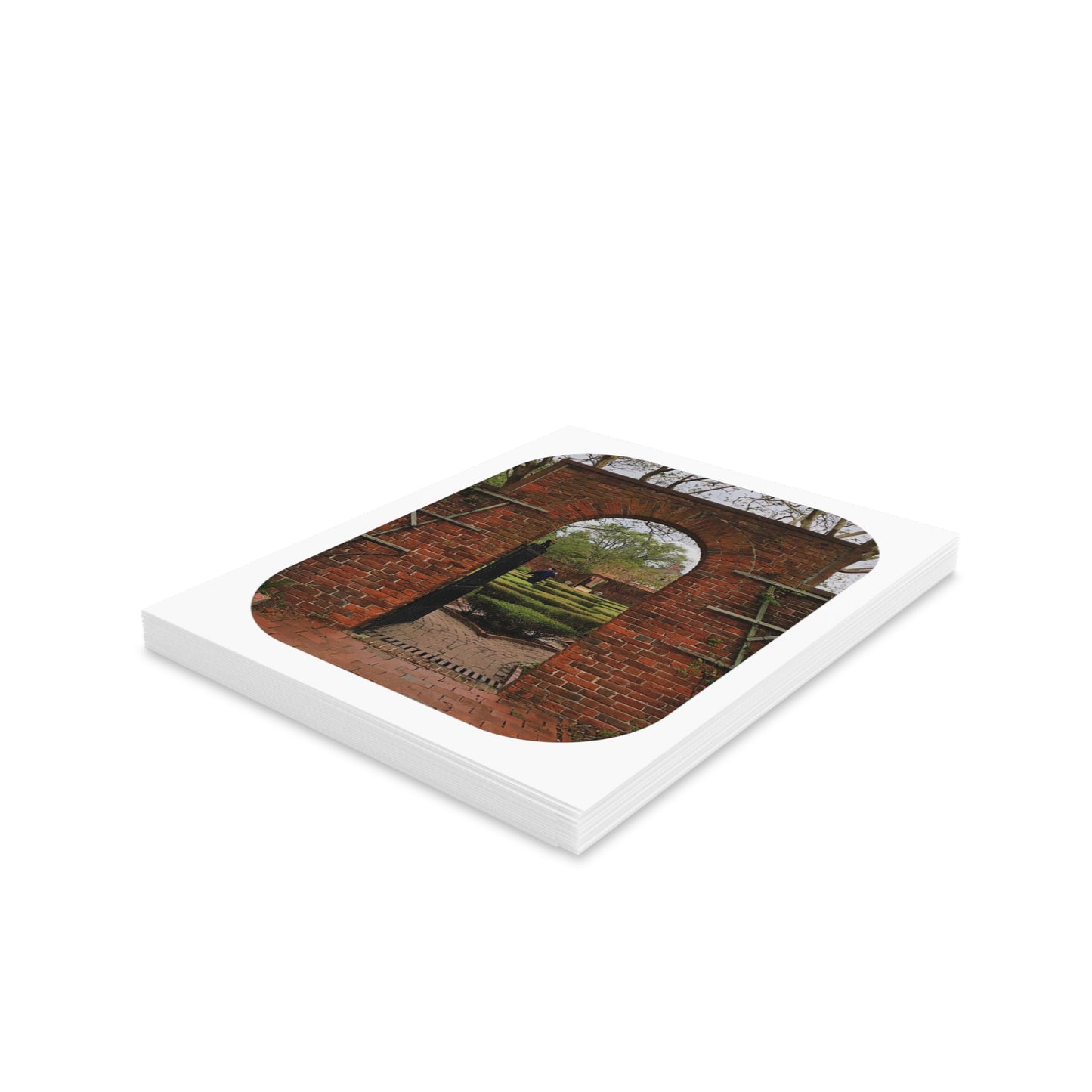 Summer Nostalgia Card Sets - Blank