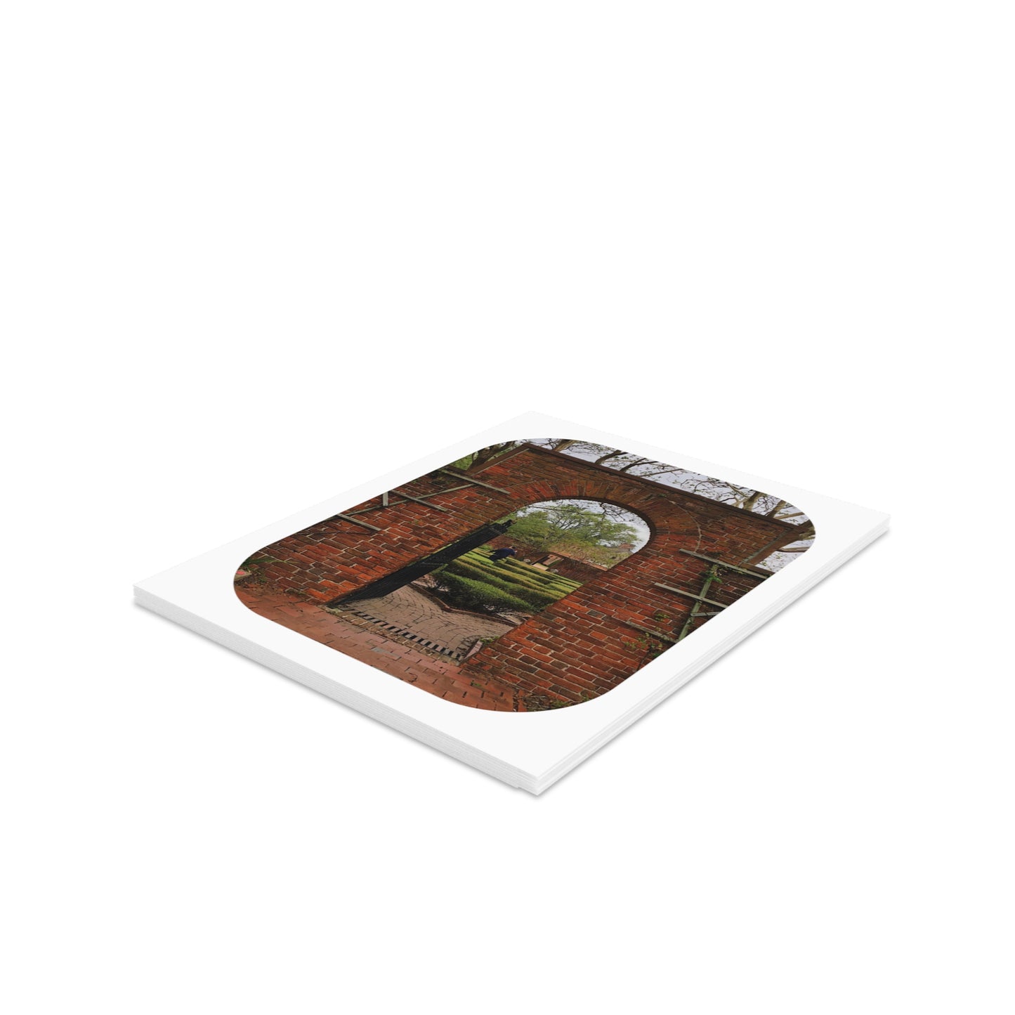 Summer Nostalgia Card Sets - Blank