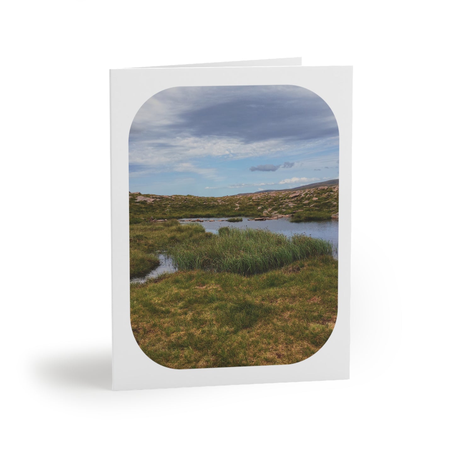 Still Oasis Card Sets - Blank