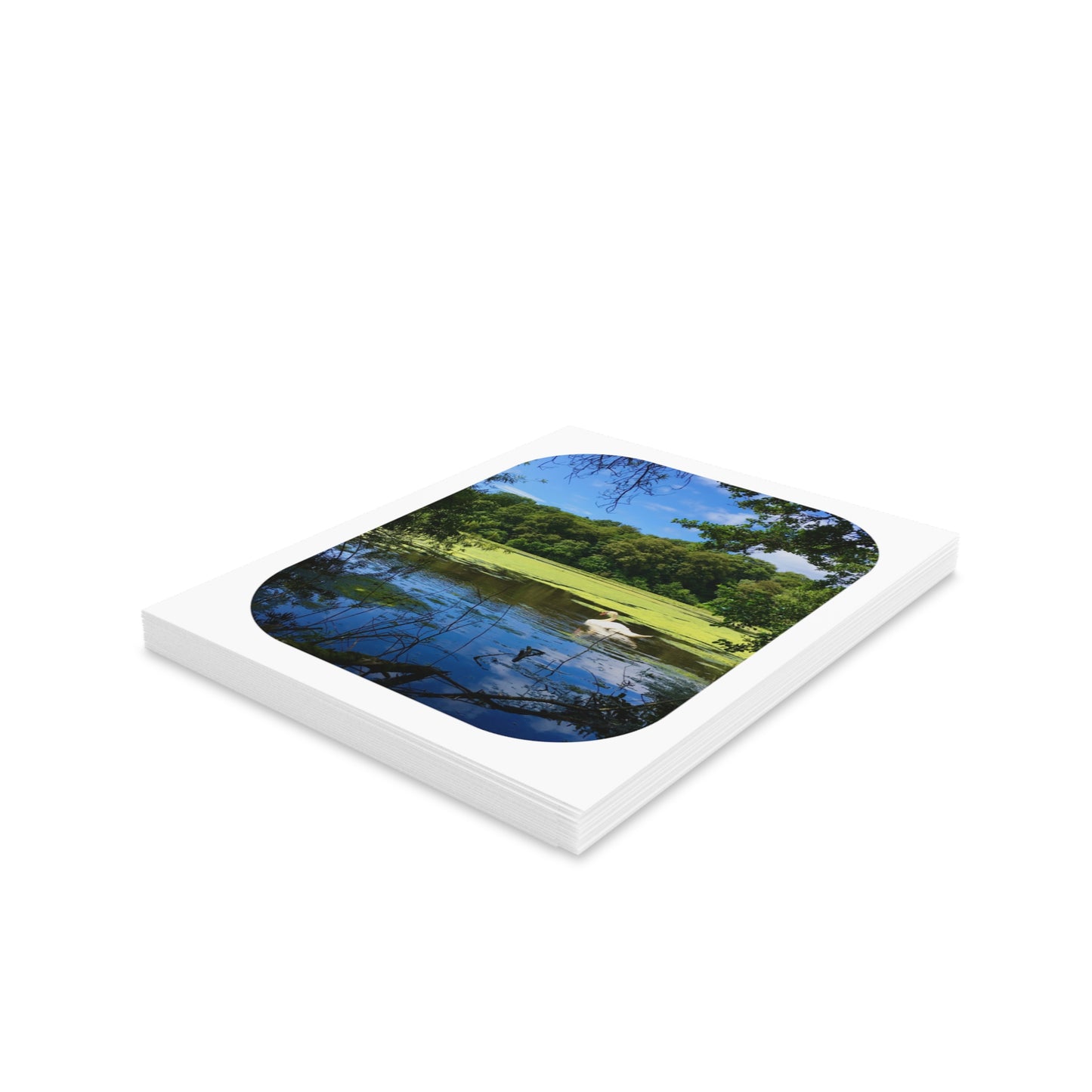 Take A Bow Card Sets - Blank
