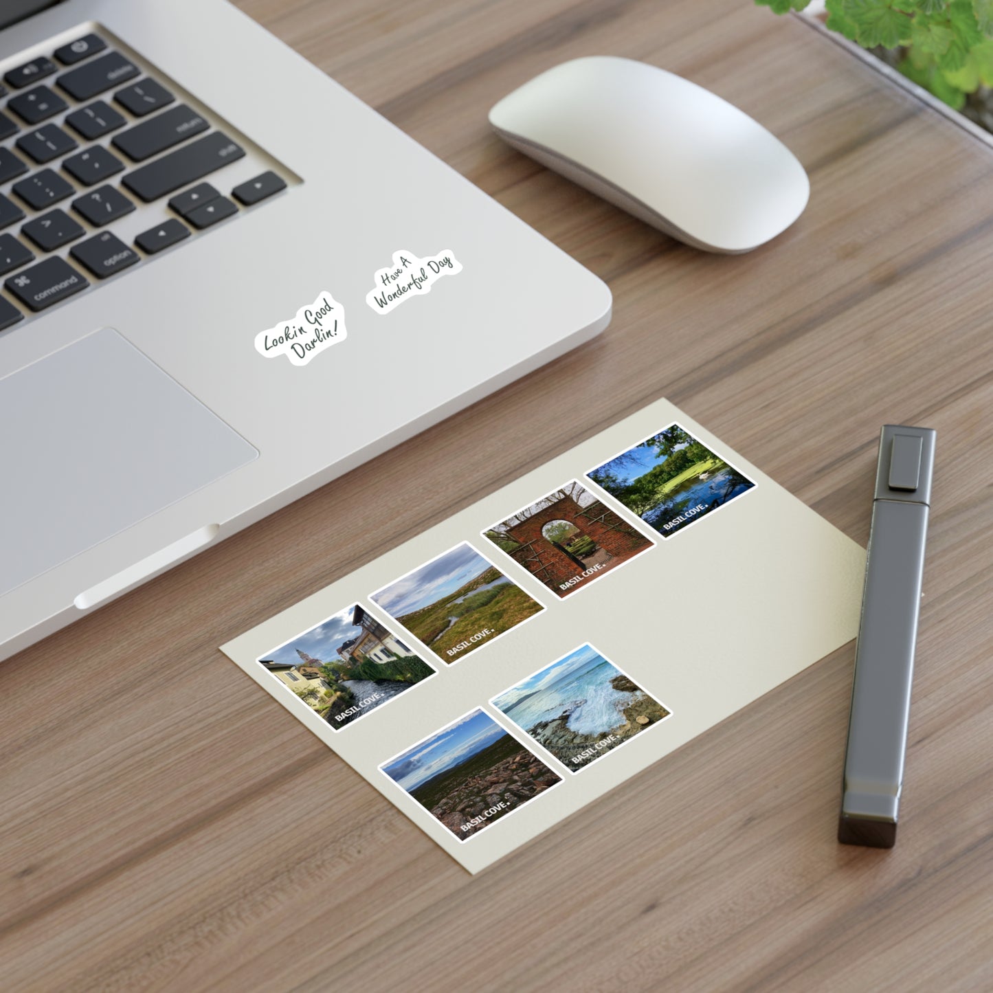 Photographs + Notes Sticker Sheet
