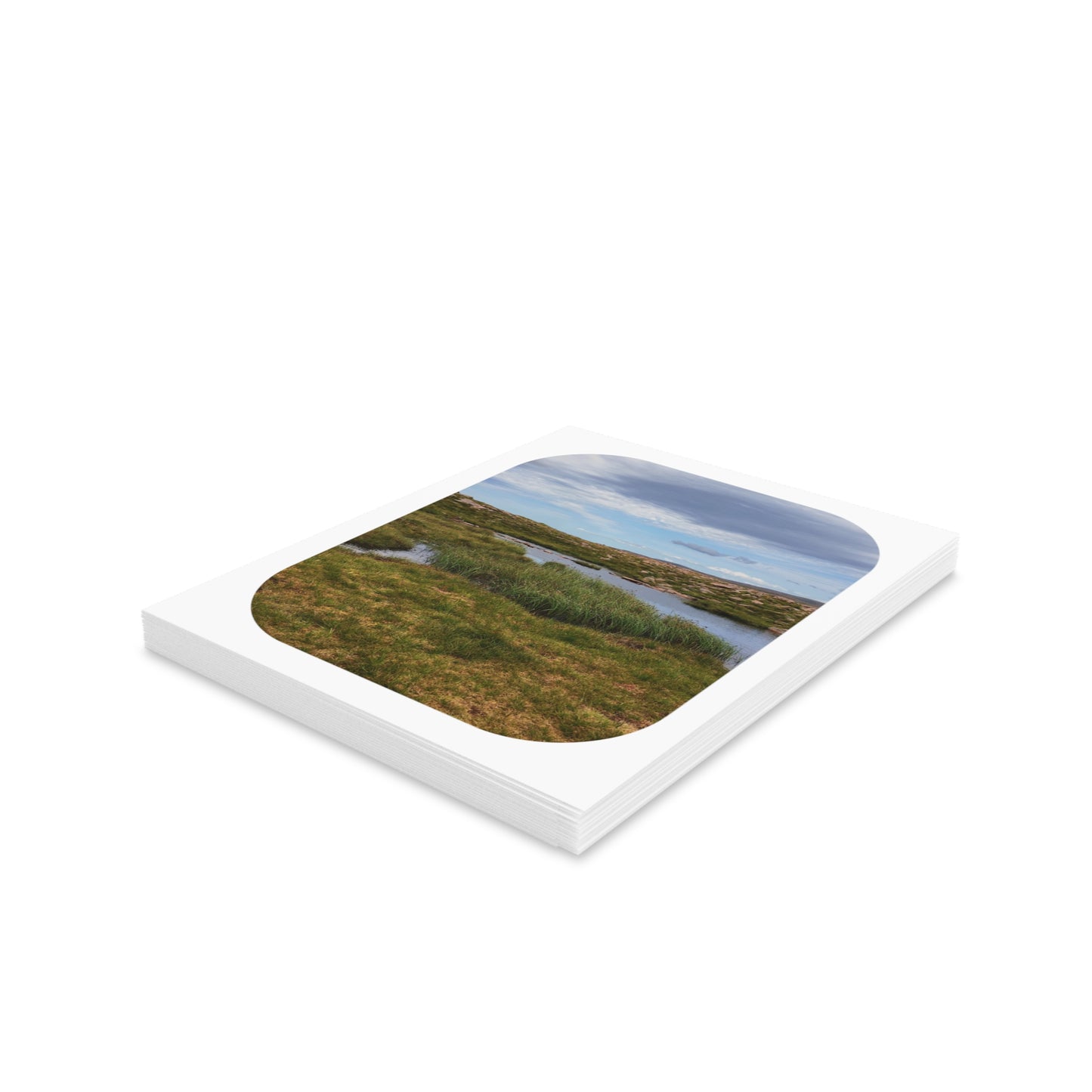 Still Oasis Card Sets - Blank