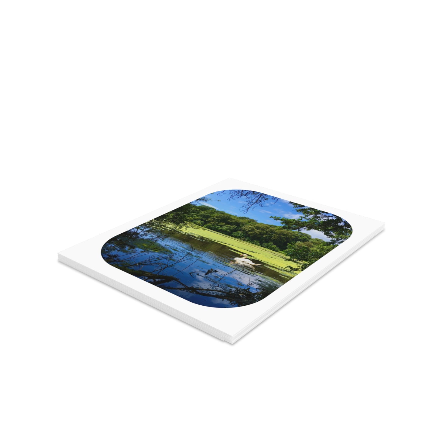 Take A Bow Card Sets - Blank