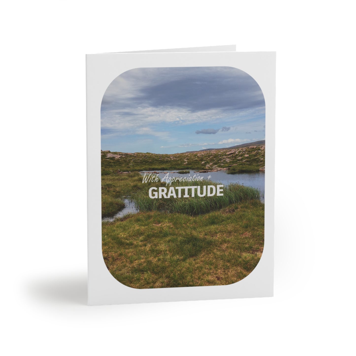 Still Oasis Card Sets - Thank You